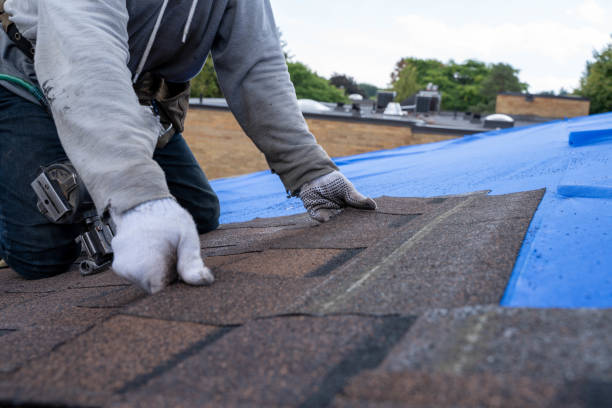 Best Rubber Roofing (EPDM, TPO)  in Rayre, MO